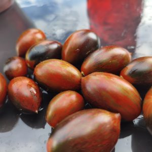 Lukas Atomic Aperitif !NEU! (Brads Atomic Grape x Sweet Aperitif "Danni - Juliane"), Tomate