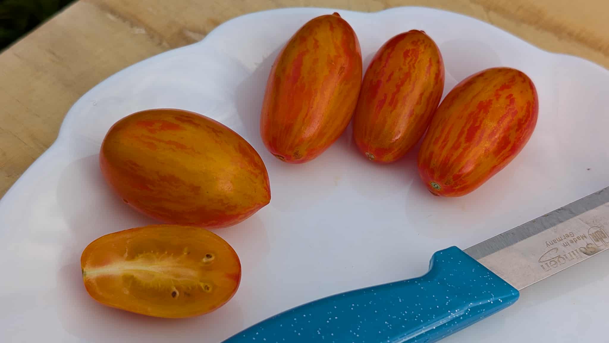 Bagsadlr f6 2x 5 Samen, fett und schmal 1 Bagsadlr f6 2x 5 Samen, fett und schmal