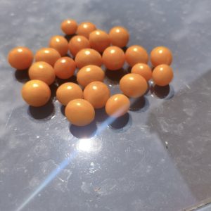 AkMb F3 Multiflora (Amber keyes x Microberry)
